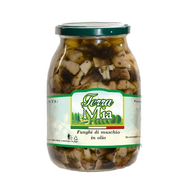 Funghi di muschio in olio_web
