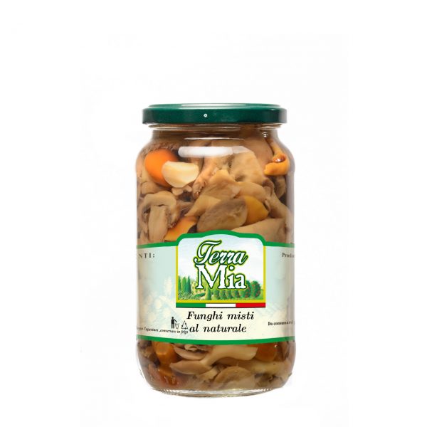 Funghi misti al naturale_web