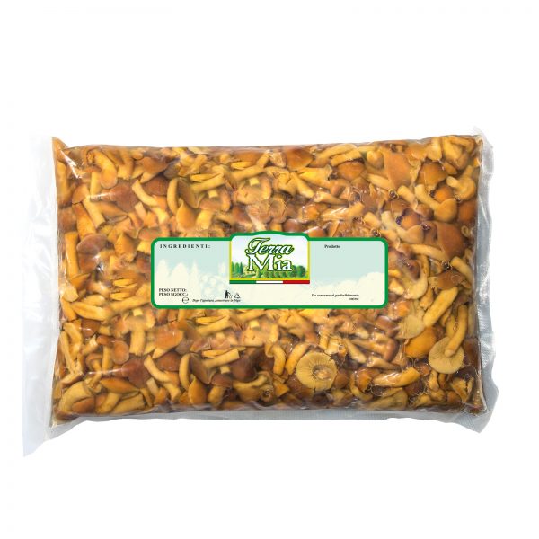 funghi_chiodini_al_naturale_busta